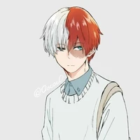 todoroki shoto