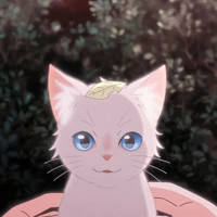 Meow