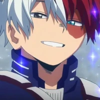 《todoroki》