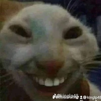 แมวจะเล่นกับคุณ(เซ็ดหย่อกัน(ง ͠° ͟ل͜ ͡°)