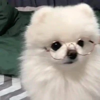 แอด