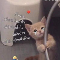 เเอ๊ดดดด