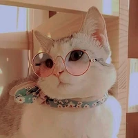 แอด