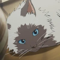 WilyKit