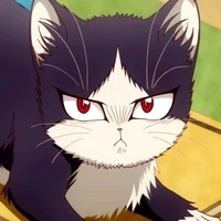 WilyKat