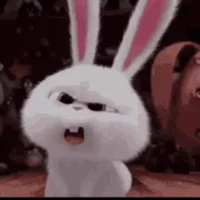 Cotton [Author]