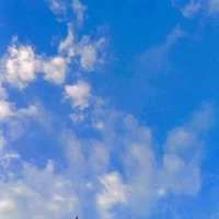 เเอดเอง