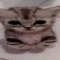 แอด