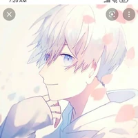 Asher ml