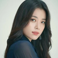 Han Hyo joo