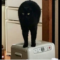 เเอด