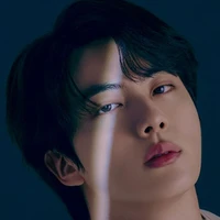 kim seokjin