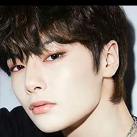 lee i.n
