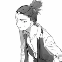 shikamaru N(D)