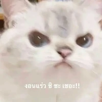 ผี