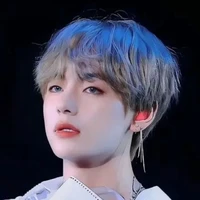 Kim Taehyung ( V )