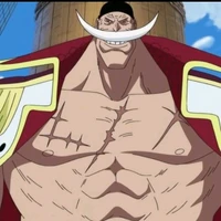 หนวดขาว