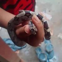 ♡pessoa que escreve♡