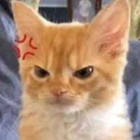 (ผู้ช่วย)แอนแอ๊นน!