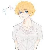 itomori/yo