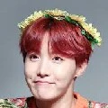 Hobi