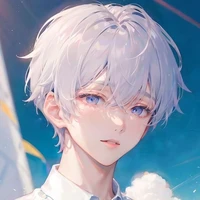 Grey Aeros Frost