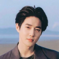 Han suho