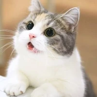 แอดเอง