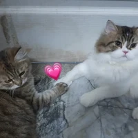 รักเจ้จ้าวกับเฮียติง. ที่สู๊ดดดดด😁