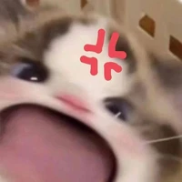 ???