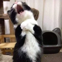 แอด. 😐