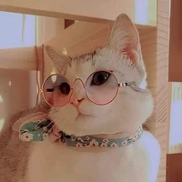 แอด