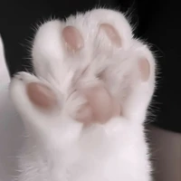 แอด