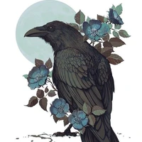 Kasugai Crow