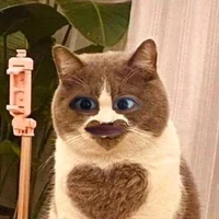 แอดสุดสวย