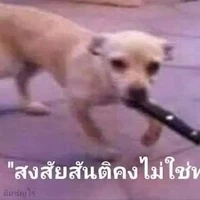 เพื่อนแอด