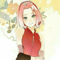 ซากุระ.เพื่อนพระเอก