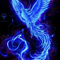 phoenix es/rei (kanae pet)