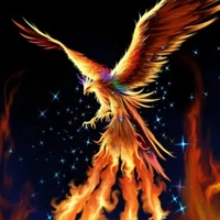 phoenix api/roy (kanae pet)