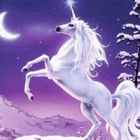 unicorn/David (kanae pet)