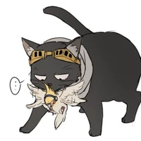 aizawa michi