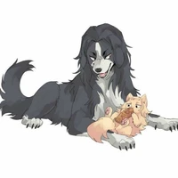 baji cachorro