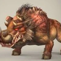 Wild Pig