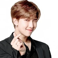 Kim Namjoon/RM