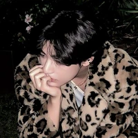 พักพิง