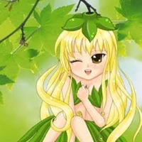 น้ำทิพย์