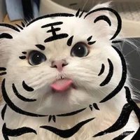 ระบบ