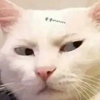 (criadora) eu