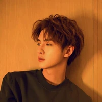 เมธี:พระเอก