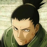 chikamaru A.P.D